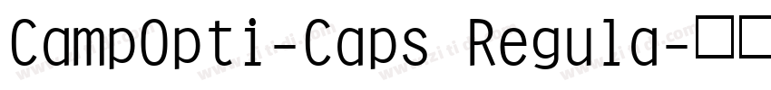 CampOpti-Caps Regula字体转换